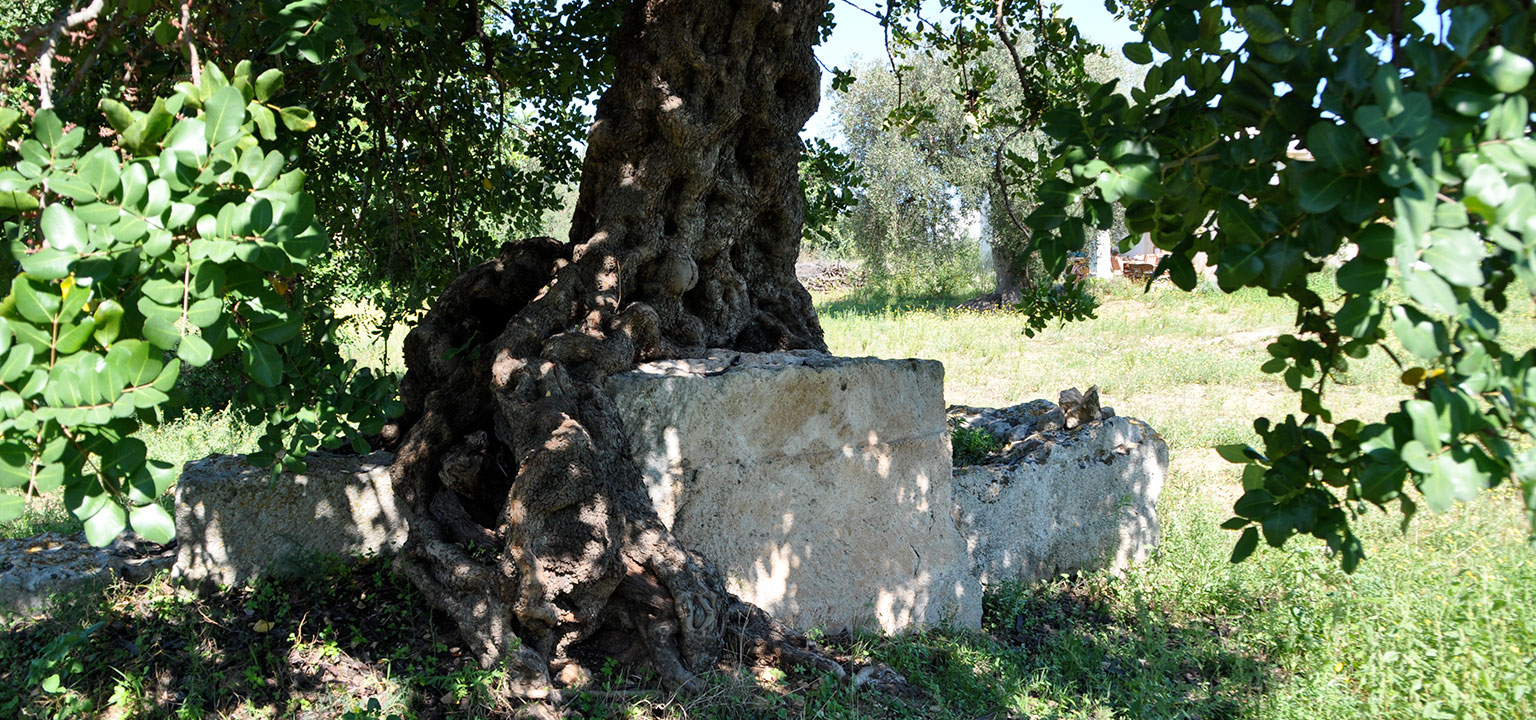 verde-natura-relax-puglia